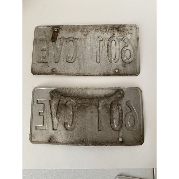 Oregon License Plate Matched Pair Tree Mountains 601 CVE 2020 Tag Man Cave Decor - Picture 2 of 2